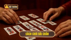 cách chơi bài chắn